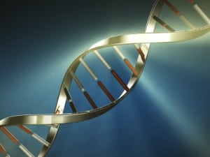 DNA and anti aging products