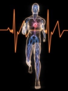 EKG, heart, runner and niacin