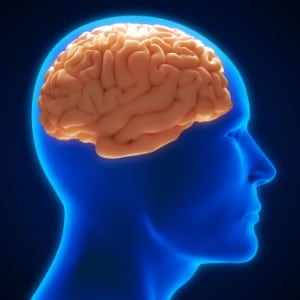 Stem Cells, Stroke Management and the Brain