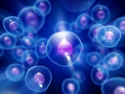 Stem cells and anti aging treatments