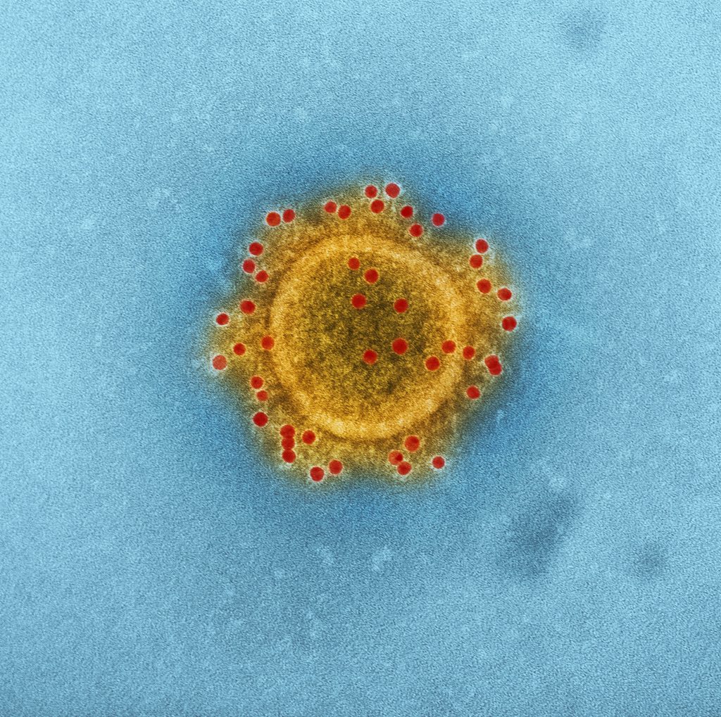 novel coronavirus