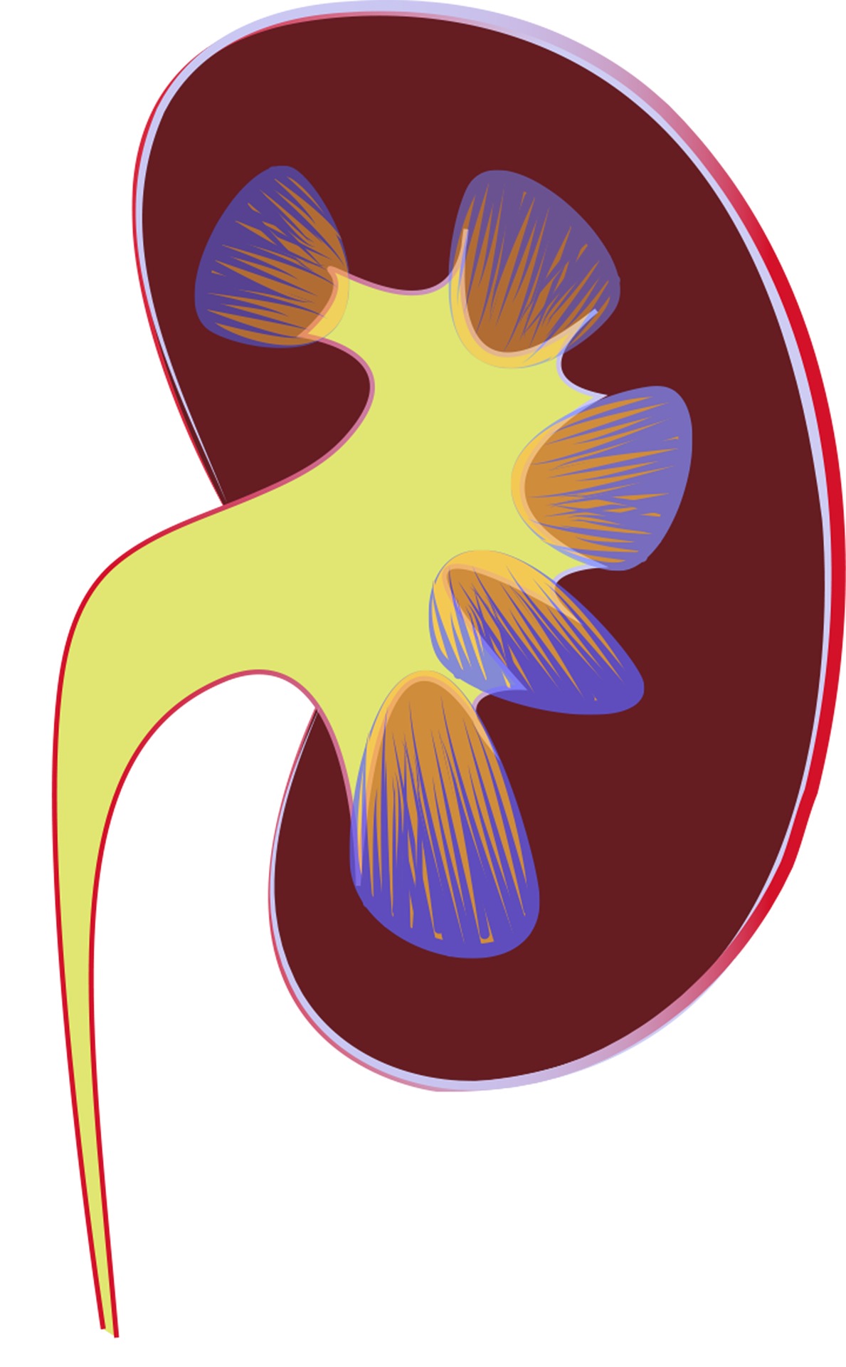 why are you getting urinary tract infections?