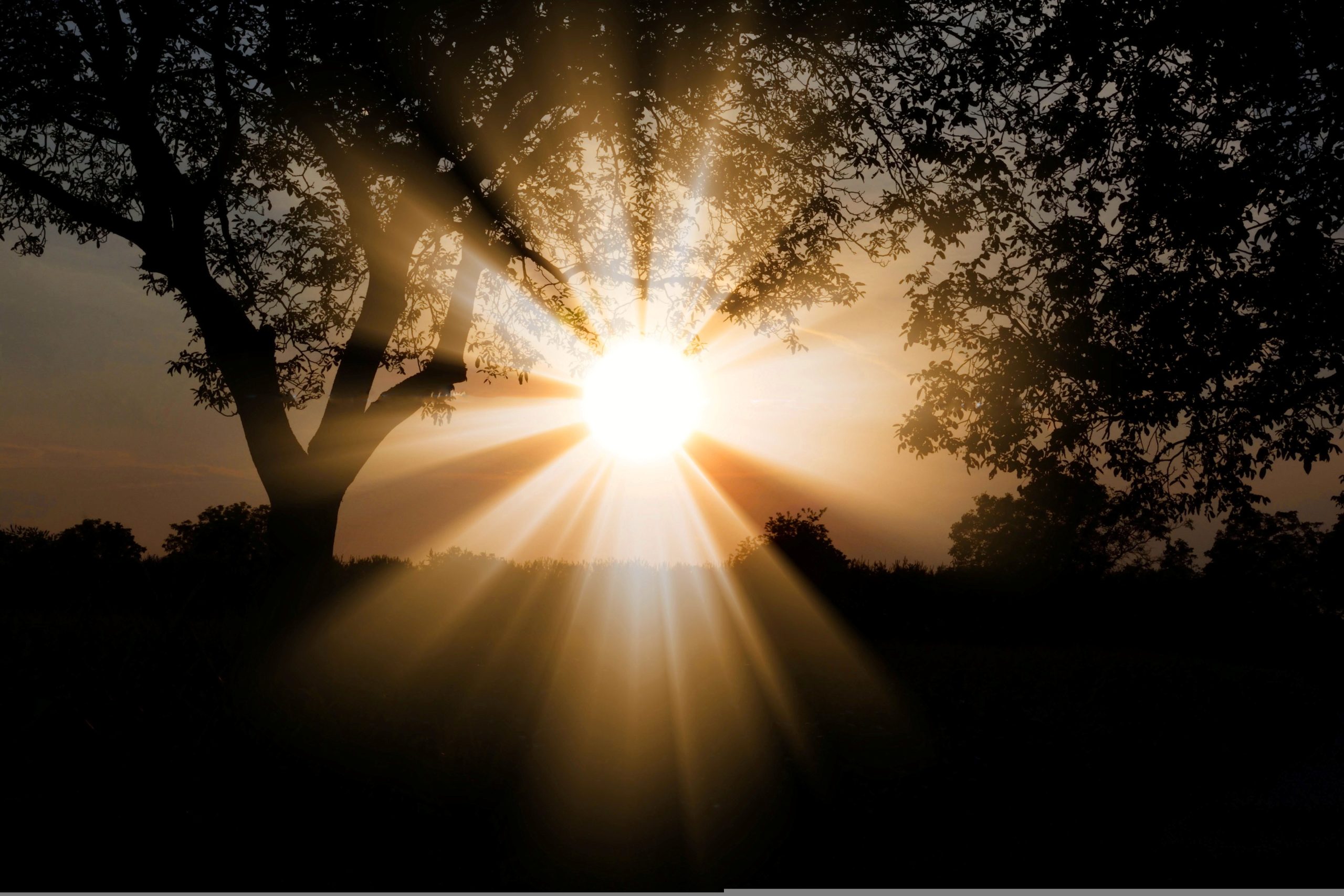 Paradox of sunlight